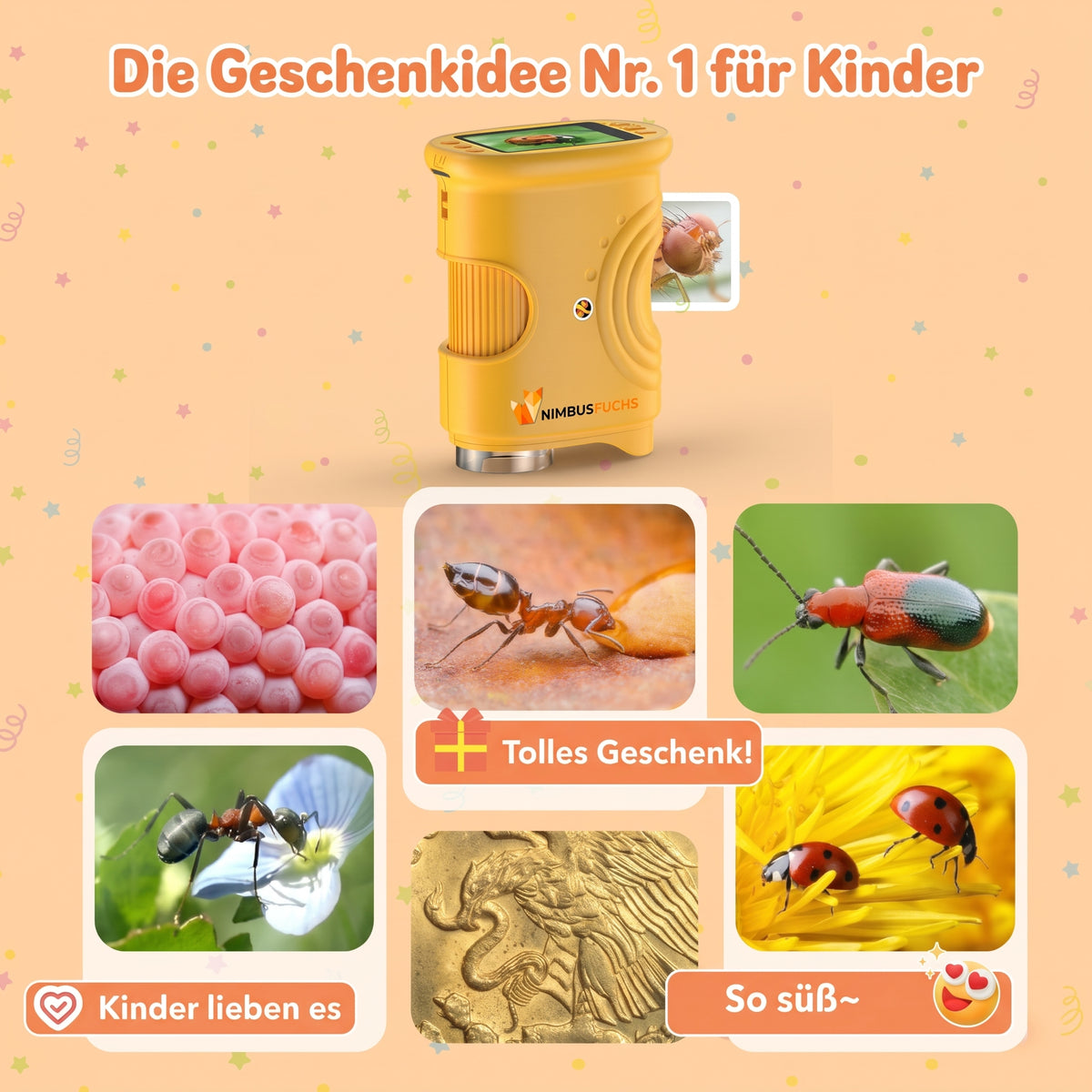 NIMBUSFUCHS™ EntdeckerLupe™ – Die digitale Lupe für kleine Entdecker
